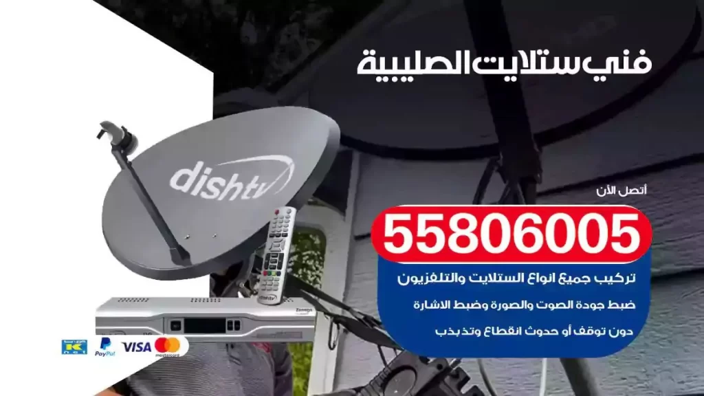 فني رسيفر وستلايت الصليبية